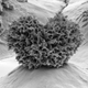 A silica nanoparticle. (Image: Ohio State University)